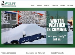 Wolff Tree and Landscape Website Image